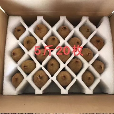 绿心猕猴桃米粮一号