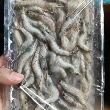 河虾150g*10板/件:4-6号33元/件,6-8号3