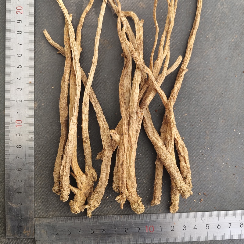 党参中条/0.8-1.2cm/1.2-1.5cm/1.5