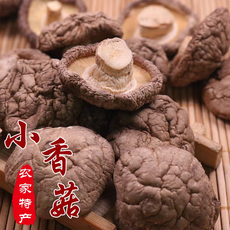 干香菇普通香菇