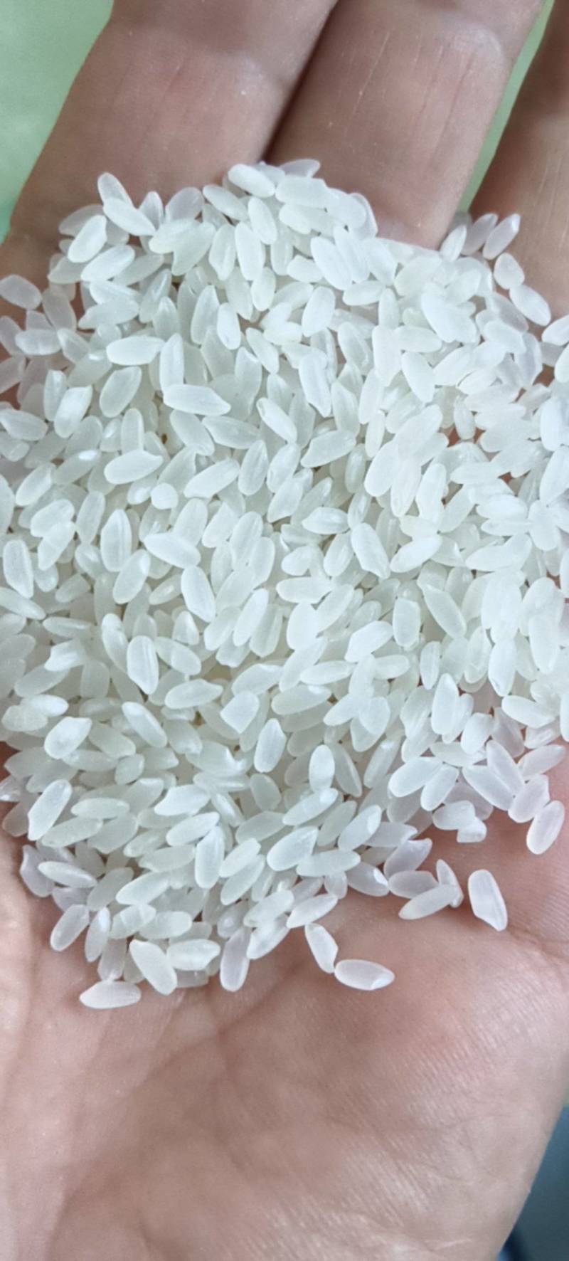 大米
