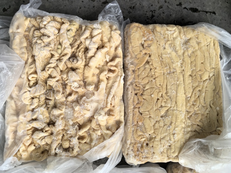 猪肚一级，一箱15个，纯干货不带油