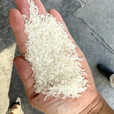大米5kg/袋,10kg/袋,25kg/袋