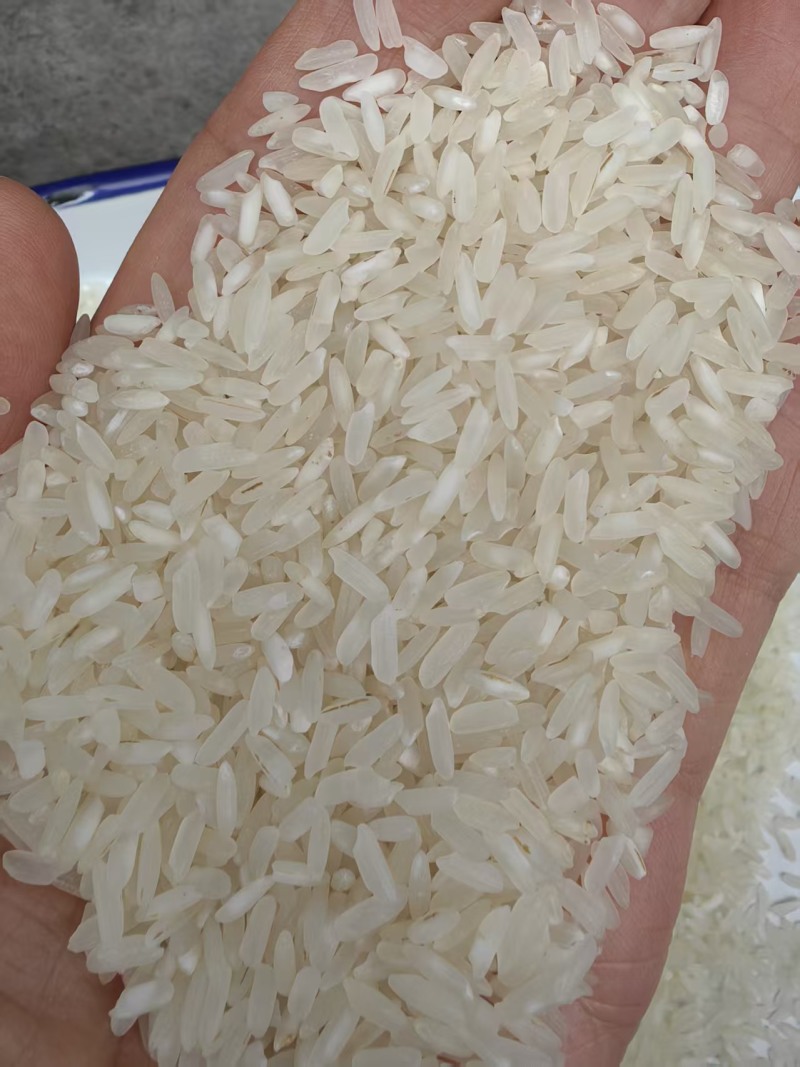 大米5kg/袋,10kg/袋,25kg/袋