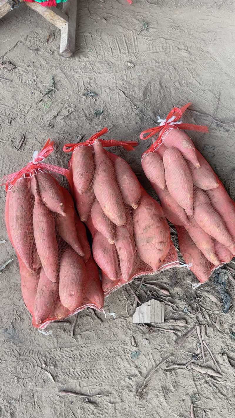 红薯商超小网兜