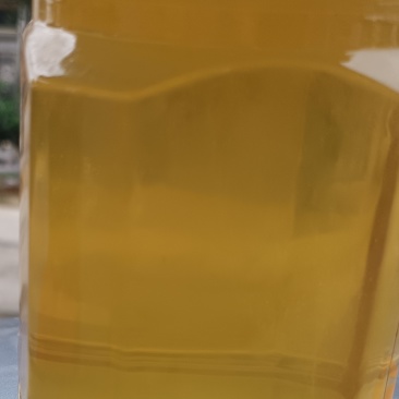蜂蜜