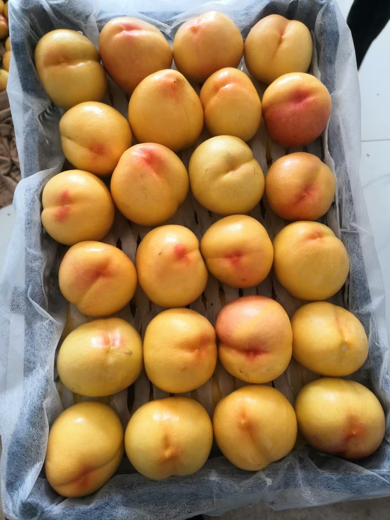 黄油桃