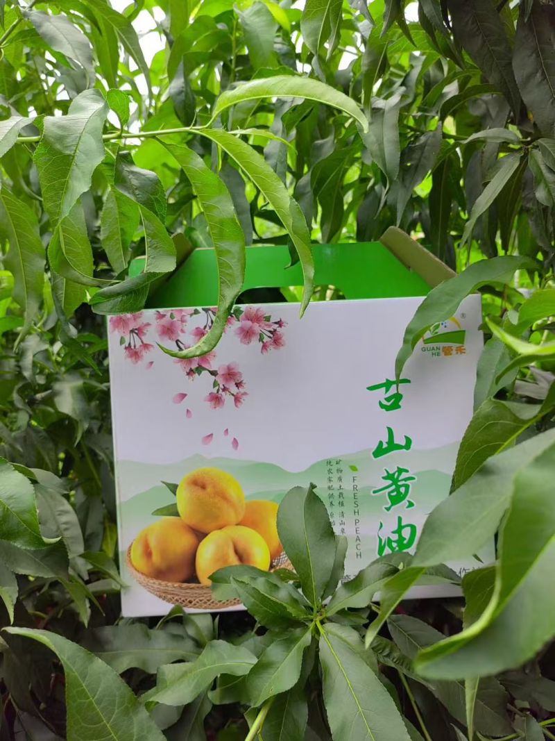 黄油桃