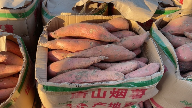 烟薯商超小网兜