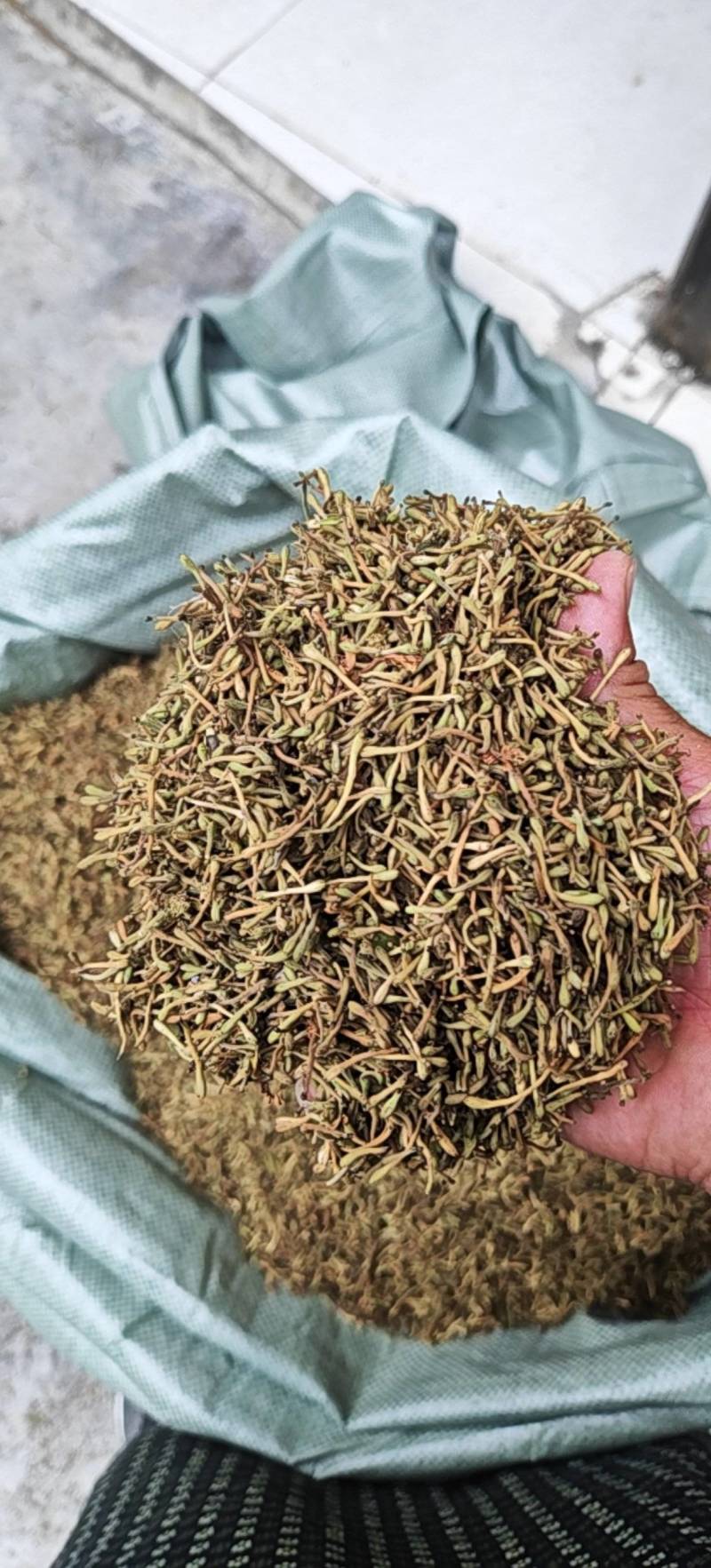 金银花一叶迷/黄金花统货;青色花籽和开花统货20~26