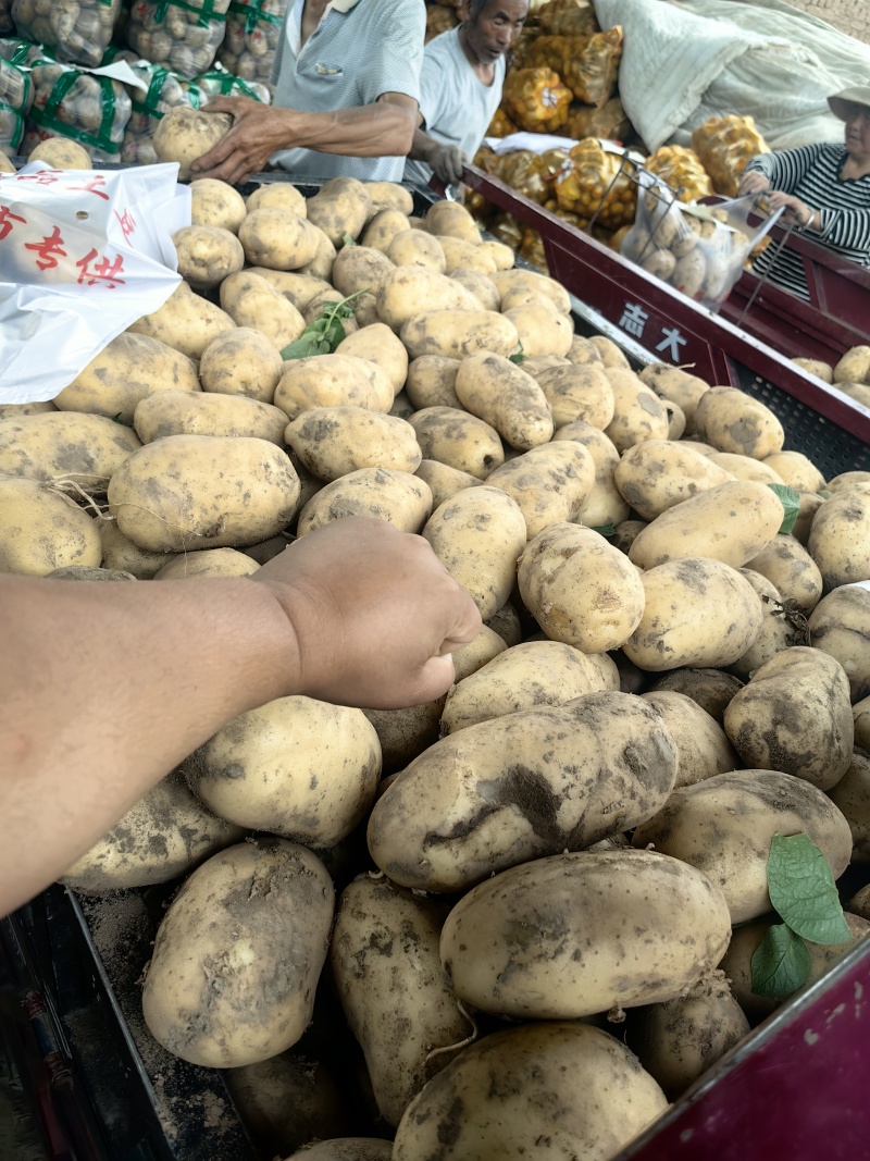 土豆按客户要求