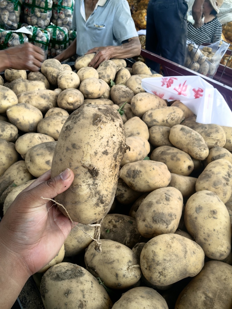 土豆按客户要求