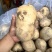 土豆按客户要求