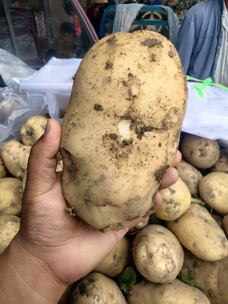 土豆按客户要求