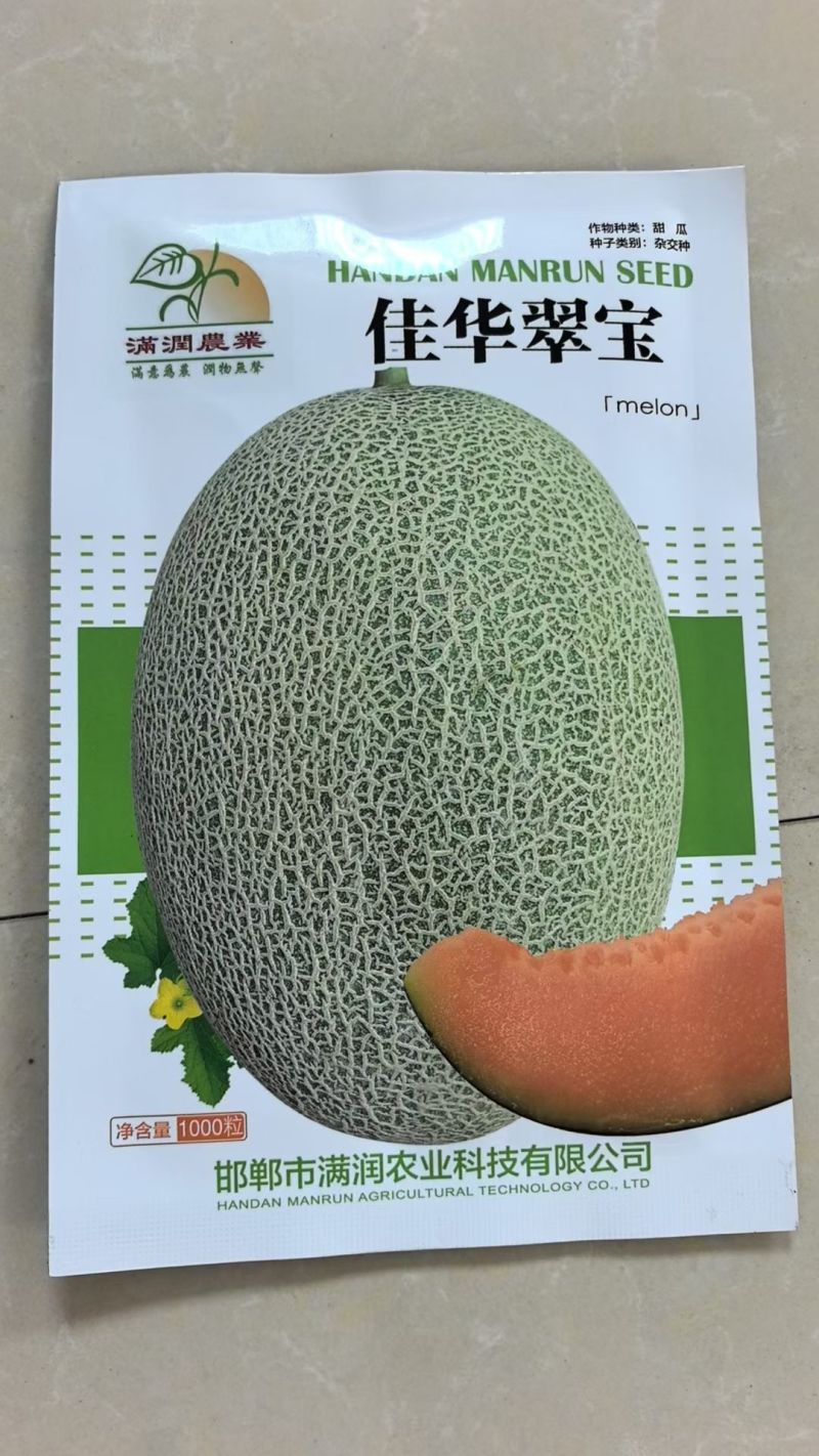 甜瓜苗星甜二十号、玉菇、星甜20、羊角蜜等多种甜瓜苗