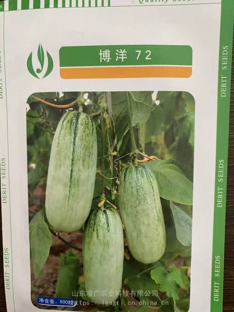 甜瓜苗星甜二十号、玉菇、星甜20、羊角蜜等多种甜瓜苗