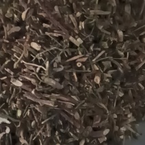 黄芩