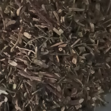 黄芩