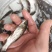 草鱼苗8-10公分/10-15公分