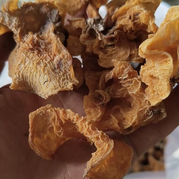 羊肚耳分等级，价格20-30多元/斤