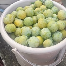李子一箱十斤装