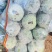 水果冬瓜精品3-6斤包装，无裂果、无虫眼、次货不上车