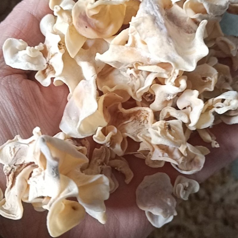 玉木耳大片中片小片筛选