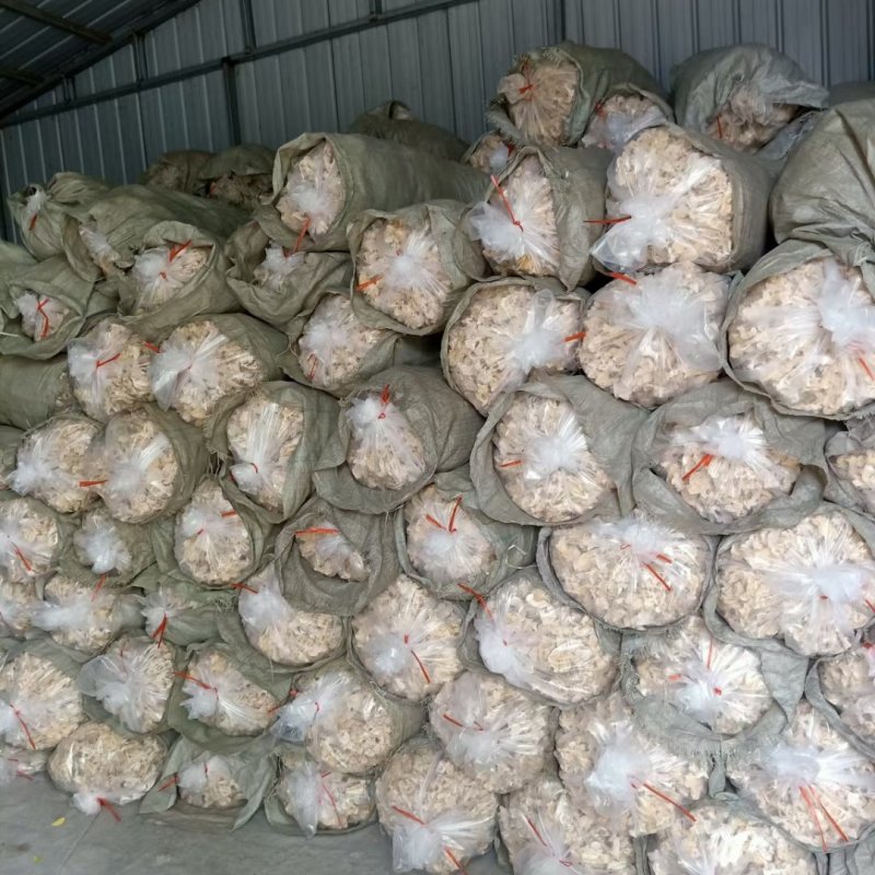 玉木耳大片中片小片筛选