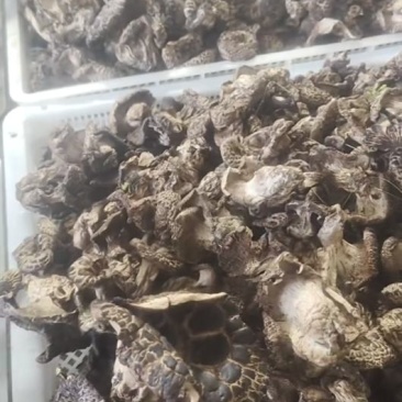 黑虎掌