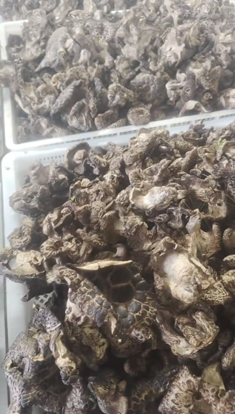 黑虎掌