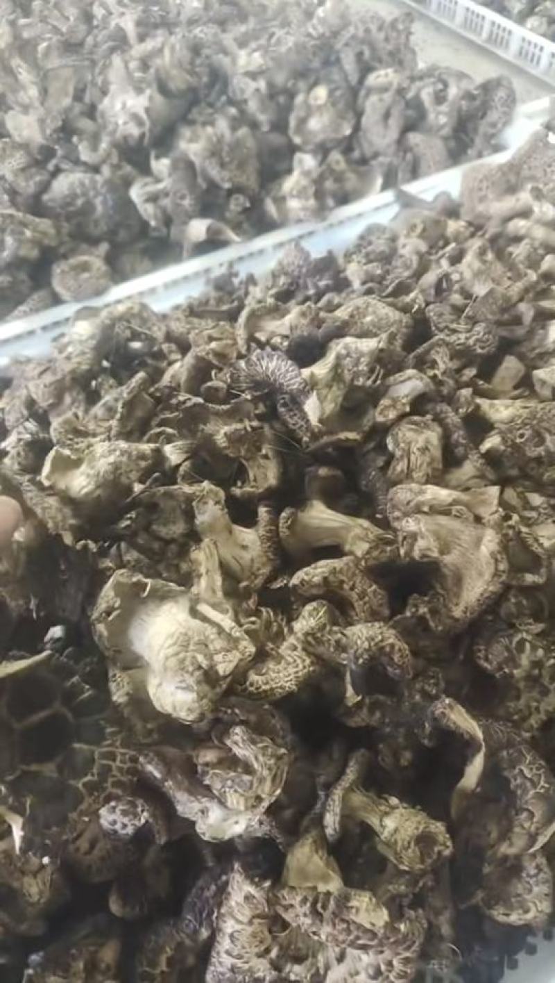 黑虎掌