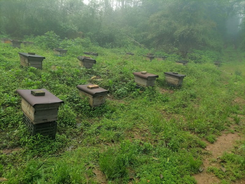 蜂蜜一斤装