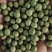 双青豆中颗粒;4.3-7.3mm;7.3mm以上;7.5