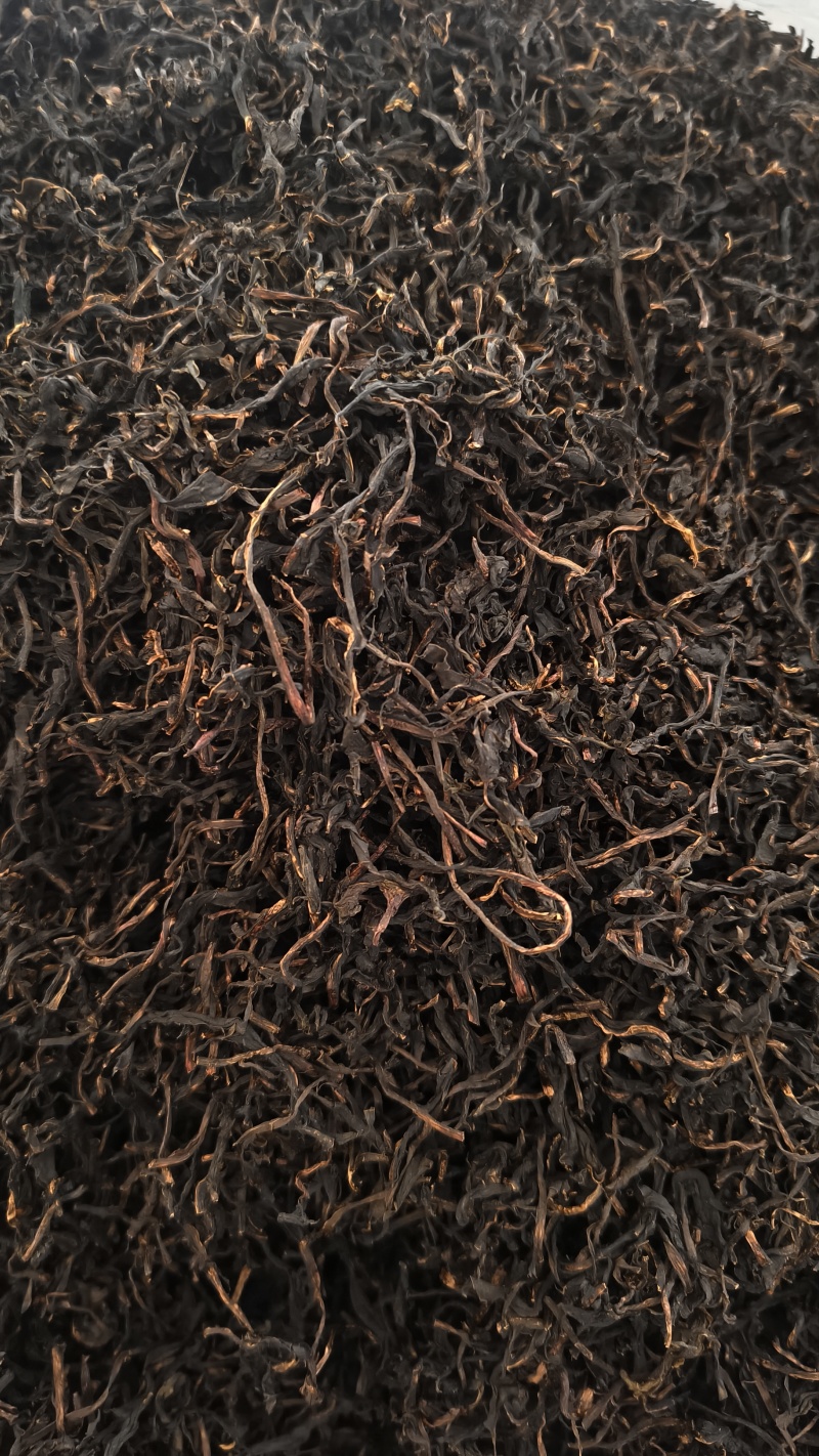 蒲公英茶红茶60元/公斤，绿茶50元/公斤