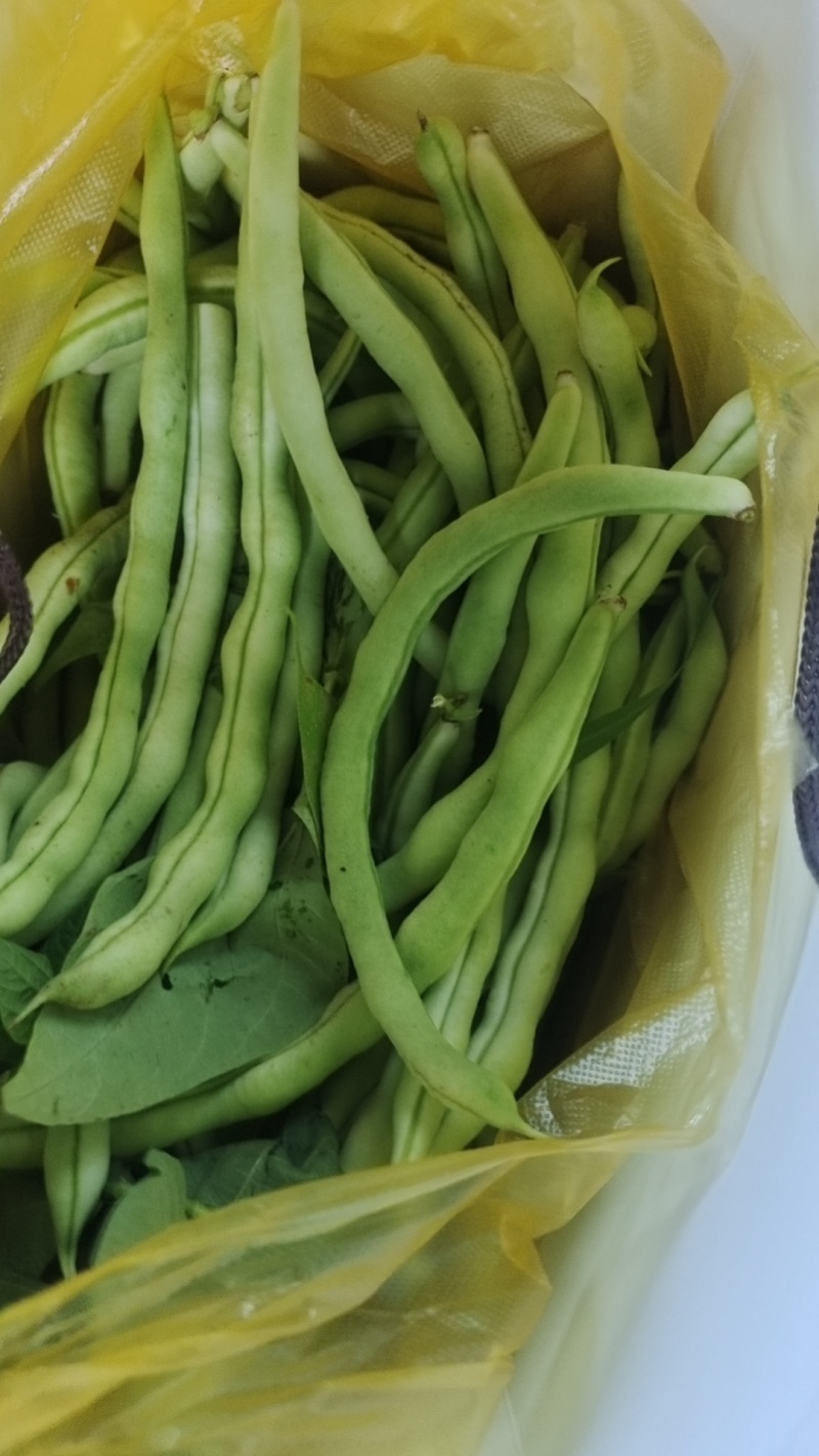 豆角