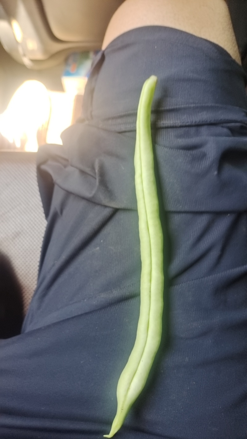 豆角