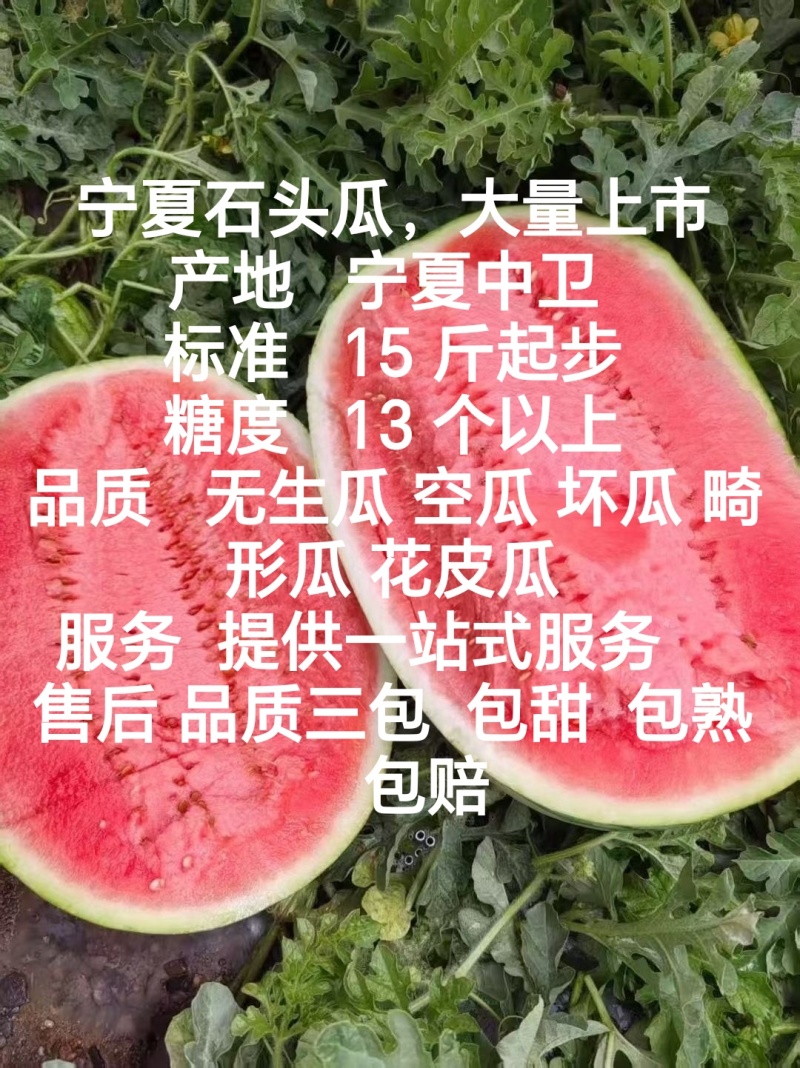 硒砂瓜品质三包包甜包熟包赔一手货源产地直发