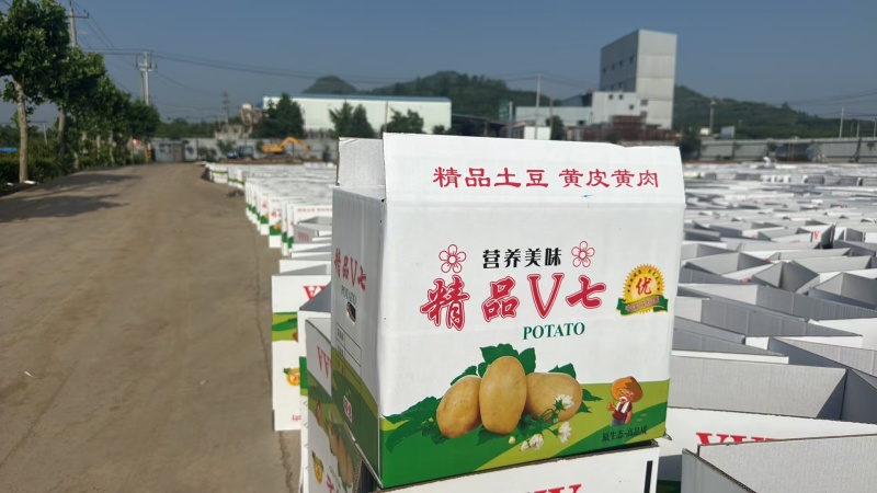 纸箱可定制版面和规格