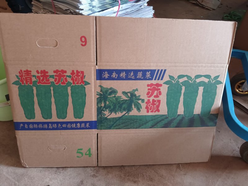 纸箱可定制版面和规格