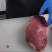 牛肉冰冻牛肉：牛腩、牛腱子、牛霖