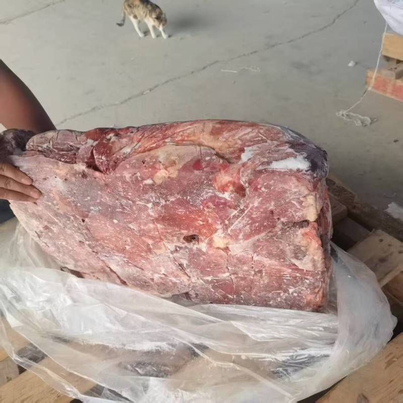 马肉五分体马肉