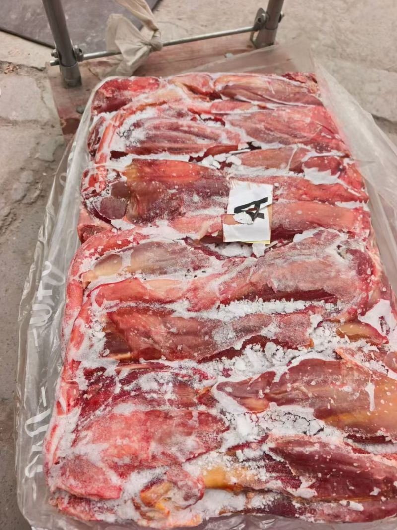 马肉五分体马肉