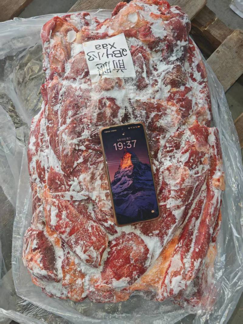 马肉五分体马肉