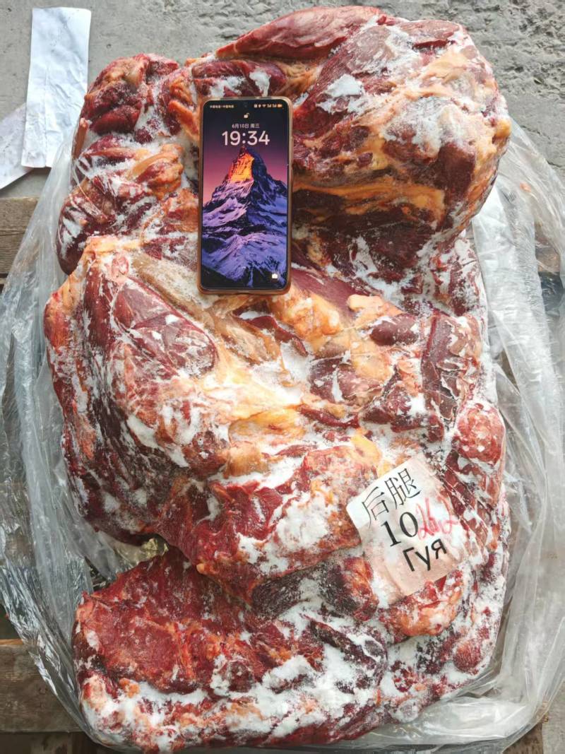 马肉五分体马肉