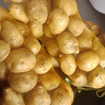 土豆通货