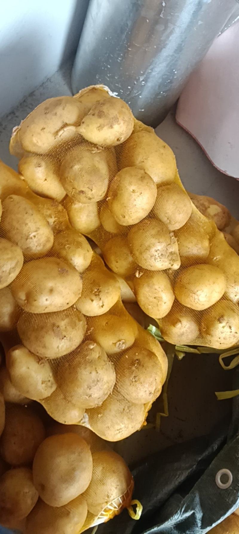 土豆通货