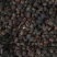 乌梅干每公斤300-350颗粒，无杂质，光果，统货混装