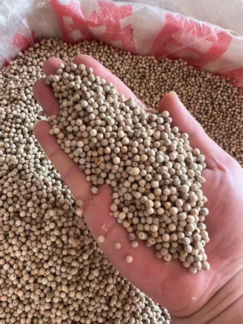 胡椒胡椒粒、胡椒粉分开售卖