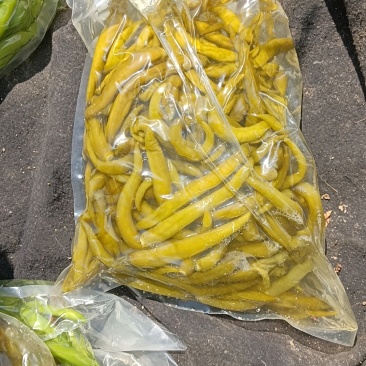 泡酱腌菜泡辣椒青辣椒厂家直发价格实惠欢迎老板联系