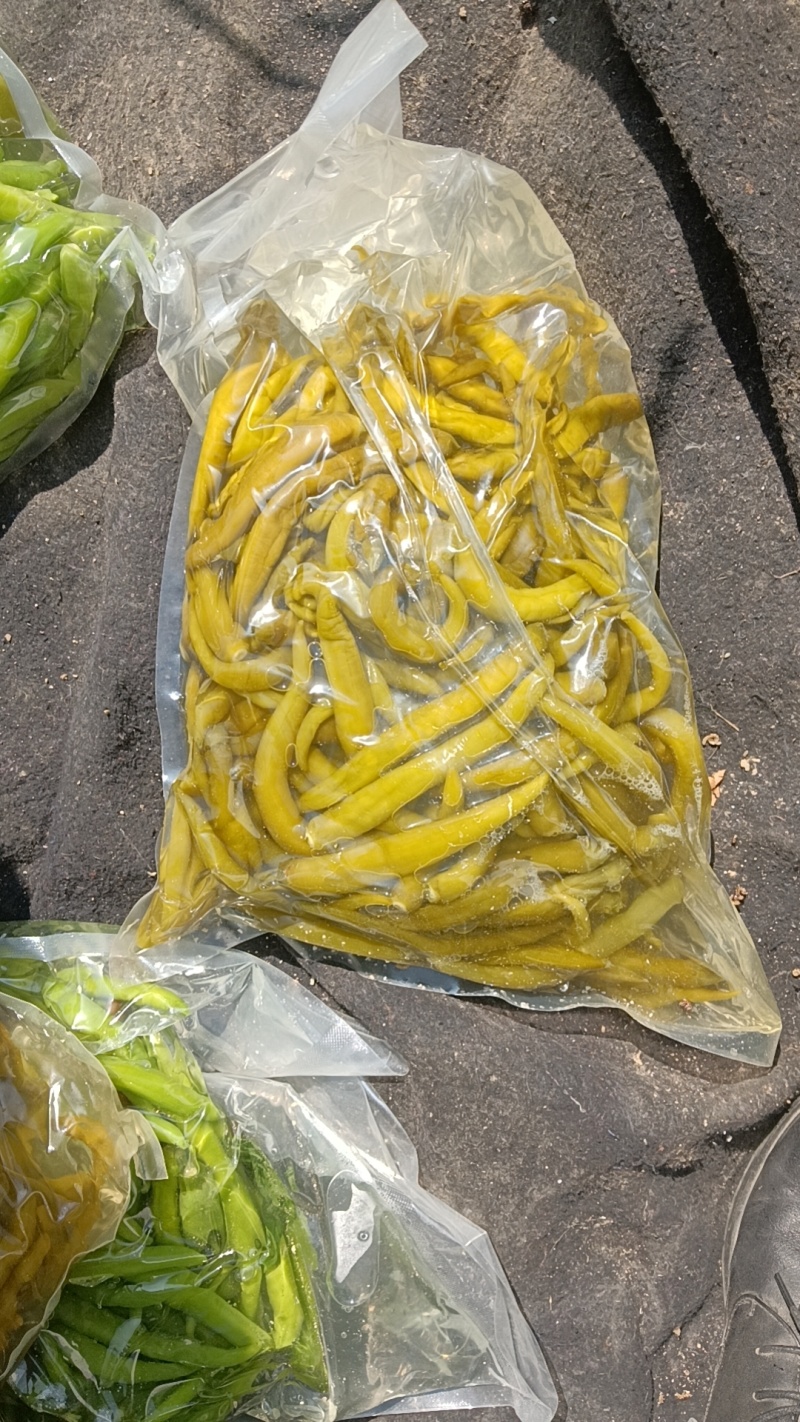 泡酱腌菜泡辣椒青辣椒厂家直发价格实惠欢迎老板联系